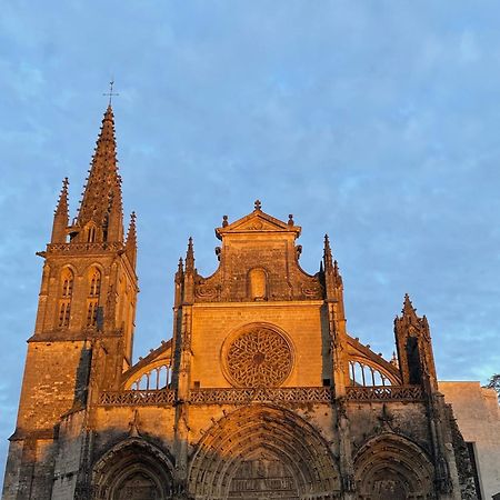 Le Clos De La Cathedrale บาซาส ภายนอก รูปภาพ